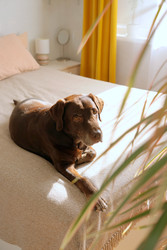 Similar image 22207896