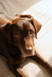 Similar image 22208113