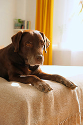 Similar image 22208114