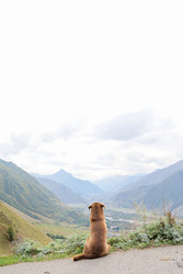 Similar image 22208116