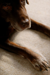 Similar image 22208117