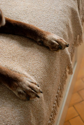 Similar image 22208118