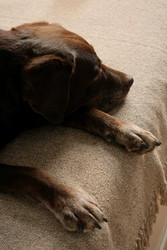 Similar image 22208120