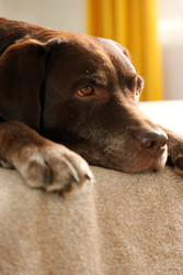 Similar image 22208121