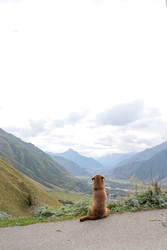 Similar image 22208123