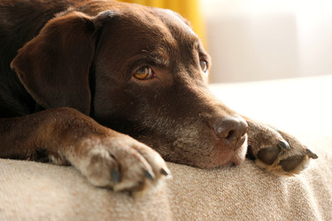 Similar image 22208128