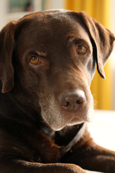 Similar image 22208129