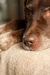 Similar image 22208132