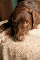 Similar image 22208133