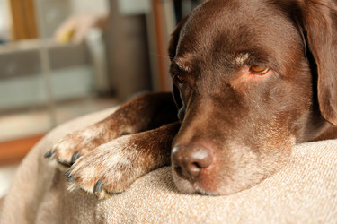 Similar image 22208136