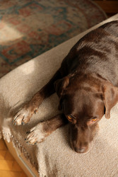 Similar image 22208137