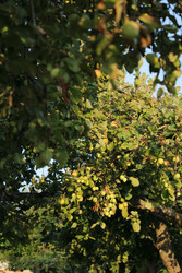 Similar image 22208138