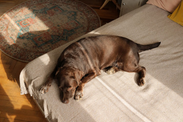 Similar image 22208140