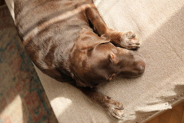 Similar image 22208142