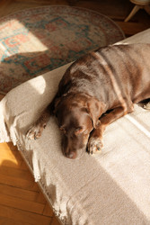 Similar image 22208143