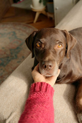 Similar image 22208145