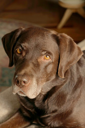 Similar image 22208150