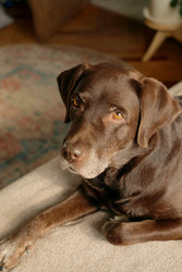 Similar image 22208153