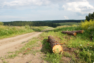 Similar image 22198291