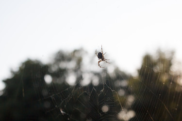 Similar image 22198333