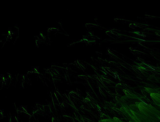 Similar image 22198668