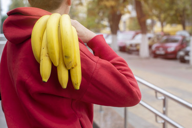 Similar image 22204155