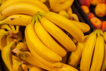 Similar image 22204158