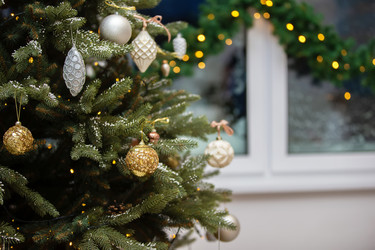 Similar image 22204178