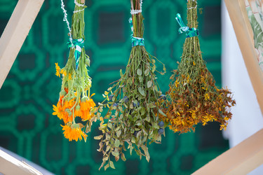 Similar image 22204188