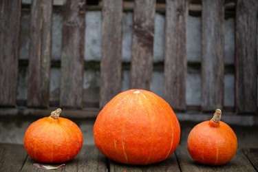 Similar image 22204190