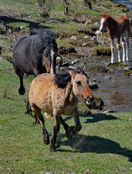 Similar image 22198339