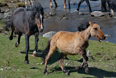 Similar image 22198340