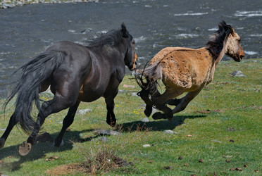 Similar image 22198341