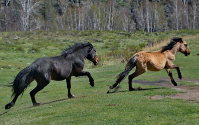 Similar image 22198342