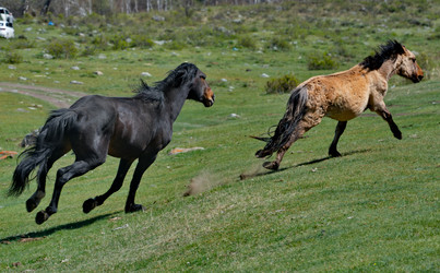 Similar image 22198343