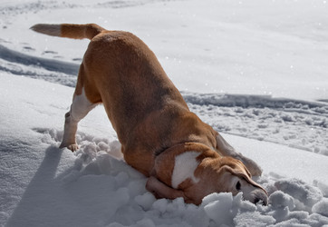 Similar image 22200537