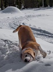 Similar image 22200539