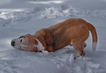 Similar image 22200540