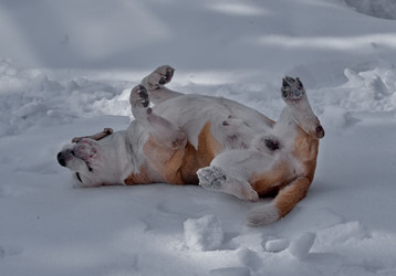 Similar image 22200541