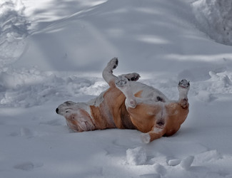 Similar image 22200542