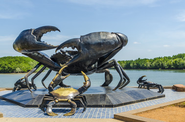 Similar image 22198063