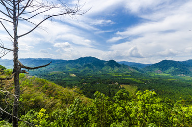 Similar image 22197623