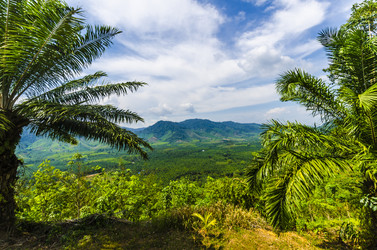 Similar image 22197624