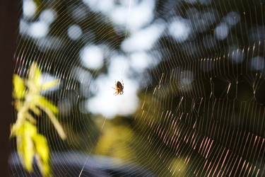 Similar image 22198355