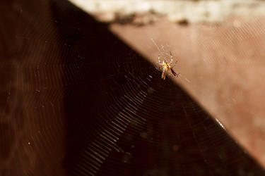 Similar image 22198358