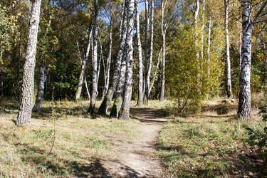 Similar image 22198360