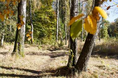 Similar image 22198361