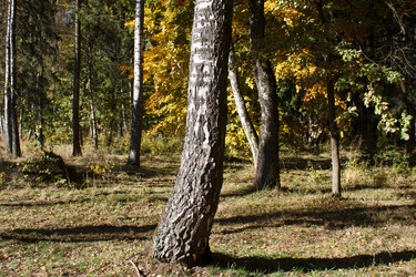 Similar image 22198362