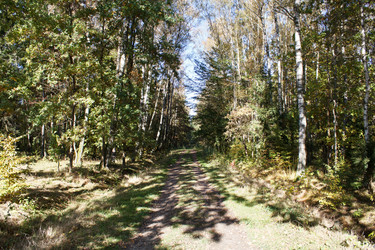 Similar image 22198363