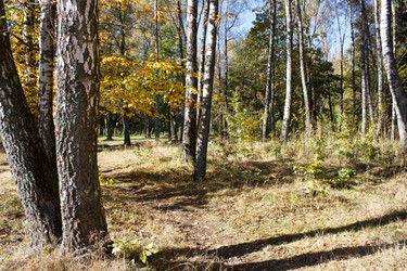 Similar image 22198364